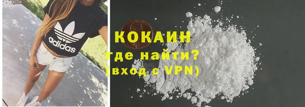 шишки Гусь-Хрустальный