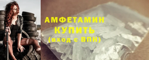 шишки Гусь-Хрустальный