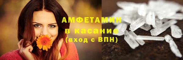 шишки Гусь-Хрустальный