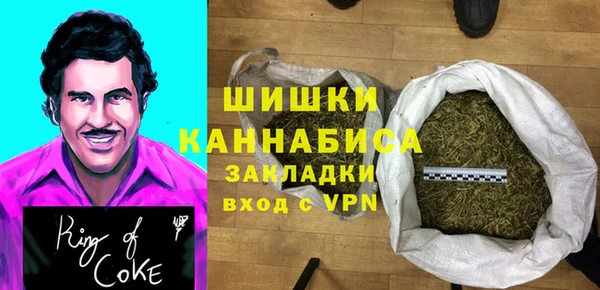 шишки Гусь-Хрустальный