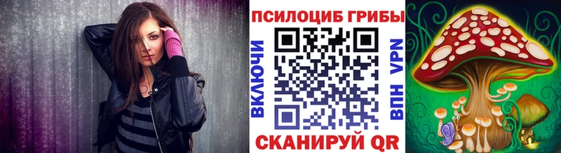 Галлюциногенные грибы Psilocybine cubensis  Сызрань 